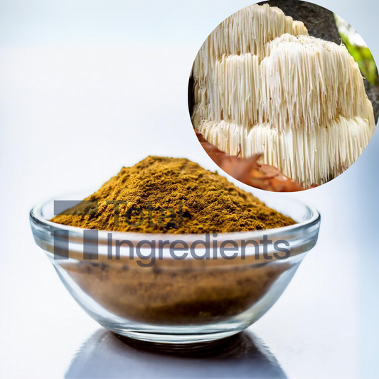 Lion's Mane Mushroom Extract 30% by UV